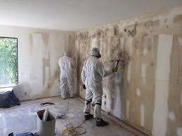 Trusted Frankfort, OH Mold Remediation Experts